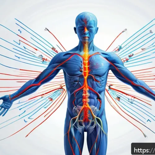 Home 30 한의학 이론 핵심 요약 - A detailed anatomical illustration of the human body highlighting the flow of Qi and Blood through t...